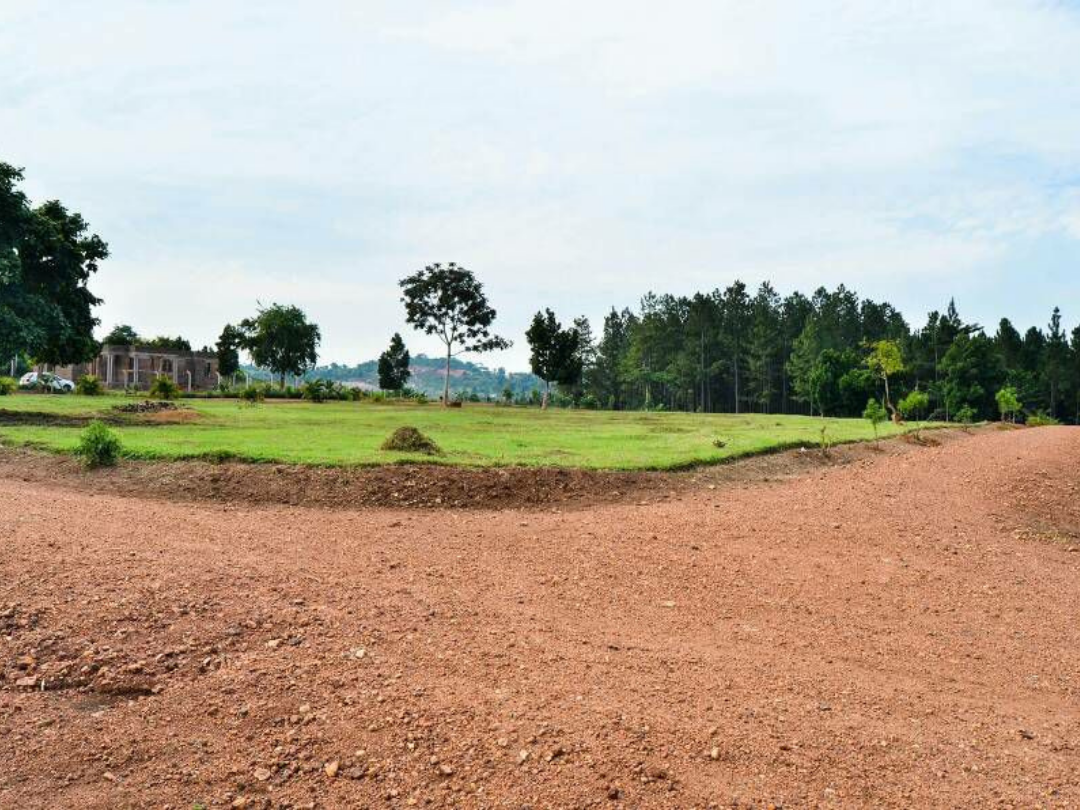 Untitled design - 2021-11-06T221629.500