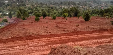 Acacia Hilltop Estate